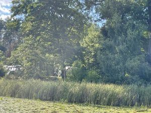 Campingplatz am Großen Wentowsee