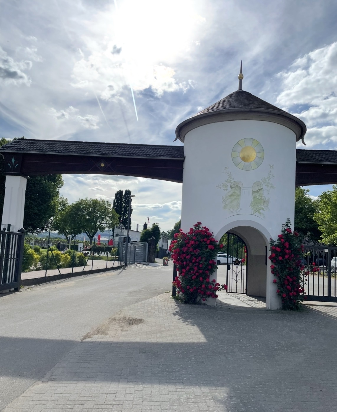 Rüdesheim